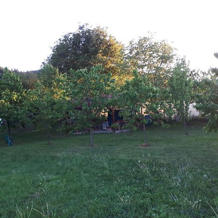 Pensjonat Casa Cionca Gilău Zewnętrze zdjęcie