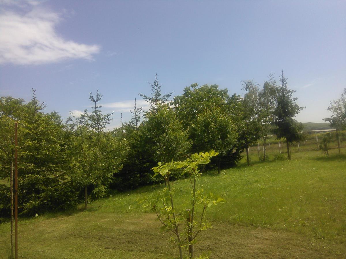 Pensjonat Casa Cionca Gilău Zewnętrze zdjęcie