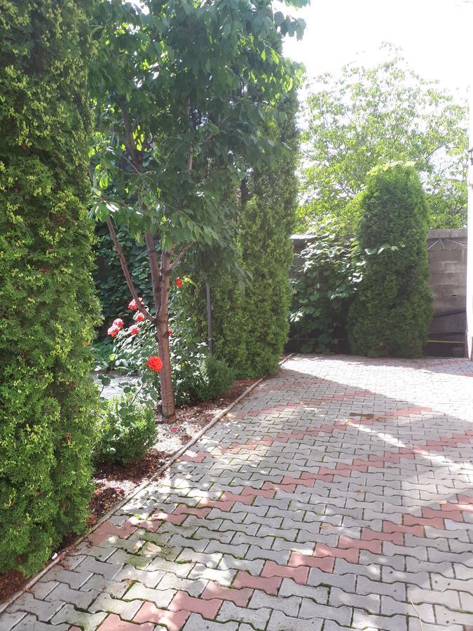 Pensjonat Casa Cionca Gilău Zewnętrze zdjęcie